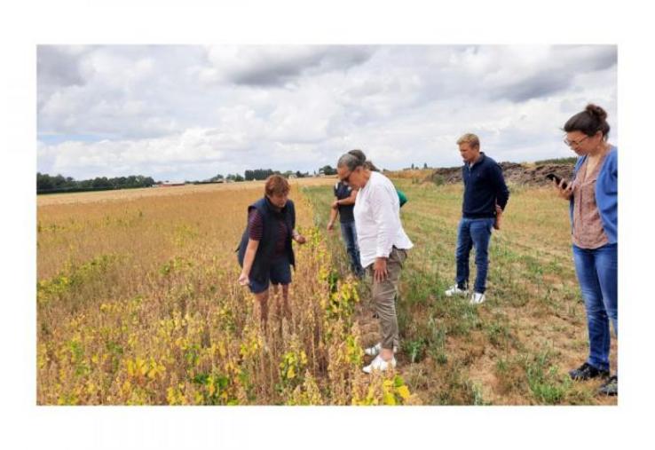 Virginie Bernard montre sa nouvelle culture de quinoa à Marie-Christine Join-Lambert, le 15 juillet.