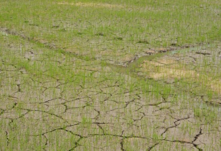 La couverture du territoire n'est pas homogène et l'appétence est plus ou moins forte selon les zones et les productions.