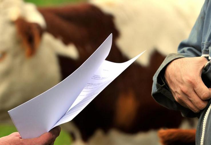 A travers le contrat
coopératif, l ’agriculteur a l’assurance de trouver un
débouché, assure Coop de France.