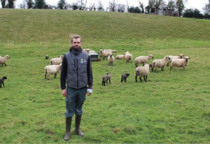 Les agnelages se succèdent chez les Mary depuis plusieurs jours.