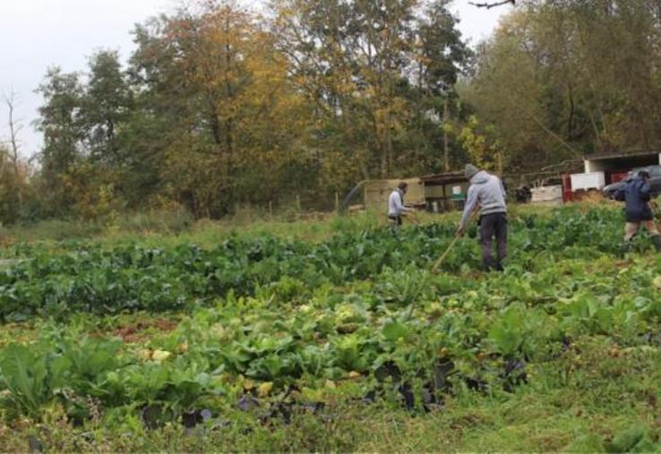 Sept hommes et femmes en insertion cette année, on en espère 5 de plus l'an prochain.