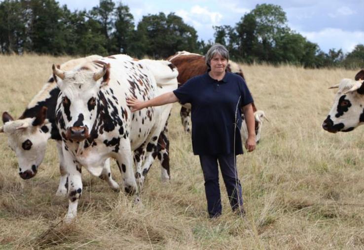 Béatrice Despres est installée au sud de Caen en bœuf de race Normande.