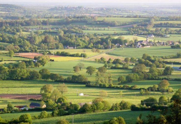 Des prairies bien exploitées et un bocage paysagé.