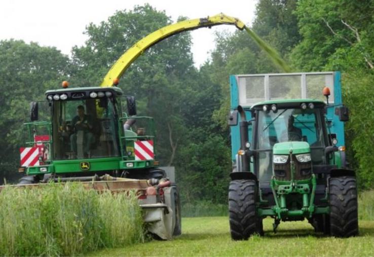Une fois les méteils associant céréales et protéagineux récoltés en ensilage, la prairie est déjà bien implantée et prête à pousser sur la fin de printemps.