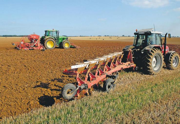 Semis de colza effectués début septembre.