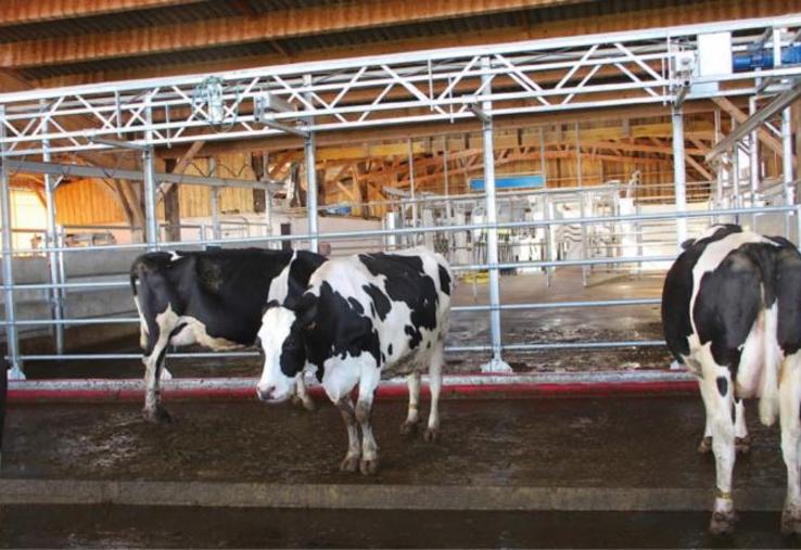 L’escorteur, barrière poussante et raclante, pour une aire d’attente toujours propre et une salle de traite préservée.