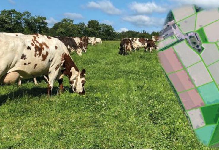 L’itinéraire de rénovation des prairies de pâturage à La Blanche Maison répond à la stratégie de couper l’accessibilité des parcelles de pâturage le moins longtemps possible.