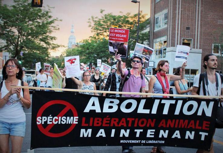 Manifestation d’antispécistes dans la rue.