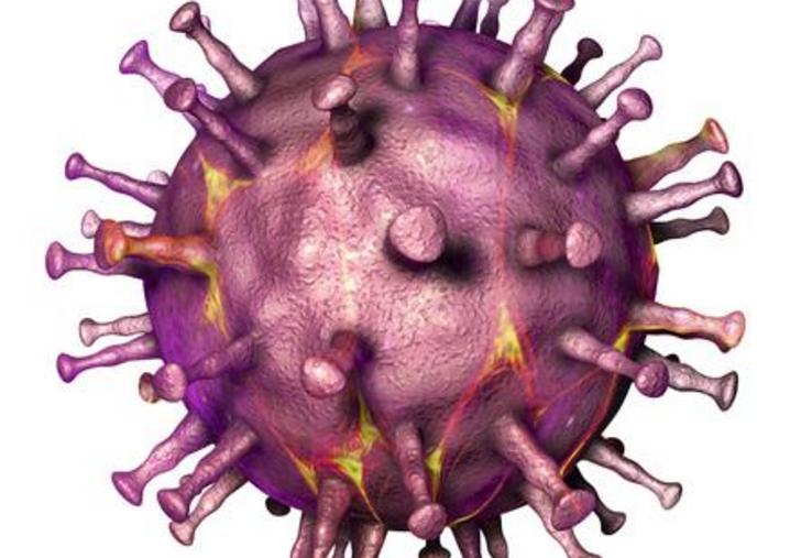 Virus de la peste porcine africaine, illustration 3d. adn virus enveloppé