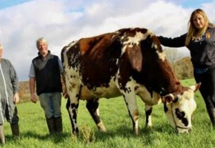 Oreillette, égérie de la 60e édition du Salon international de l’agriculture, entourée de François, Didier et Lucie Foucault, installés à Briouze dans l’Orne.