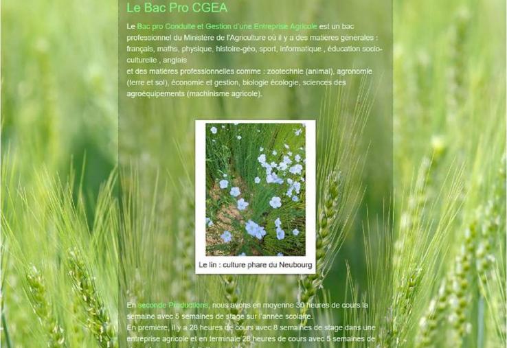 Le blog des lycéens CGEA aborde des thématiques variées sur le monde agricole.