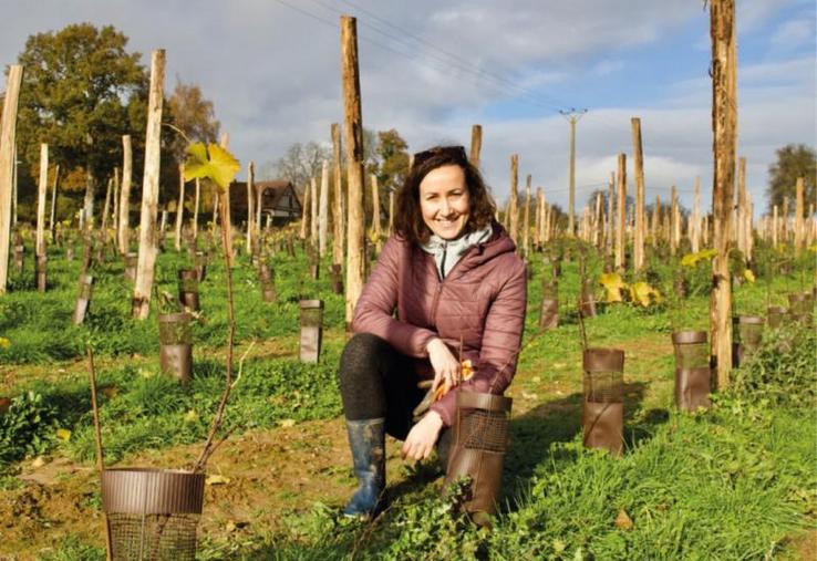 Axelle Piednoël s'est reconvertie pour lancer le domaine Leprince. Elle a suivi un BTS viticulture oenologie.