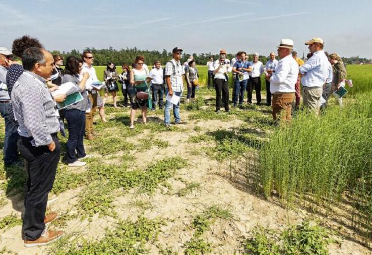 Un groupe issu du sommet Agri Innovation 2019 est venu entendre le résultat des études de réduction des intrants.