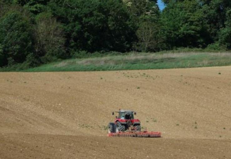 « En 2020, le prix de la production végétale hors subvention
rebondit : +2,5 % », souligne l’Insee.