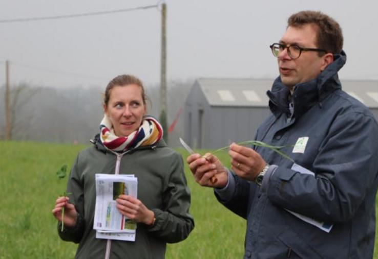 Claire Caraes et David Delbecque ont présenté 13 mélanges
différents sur la parcelle d’essai.