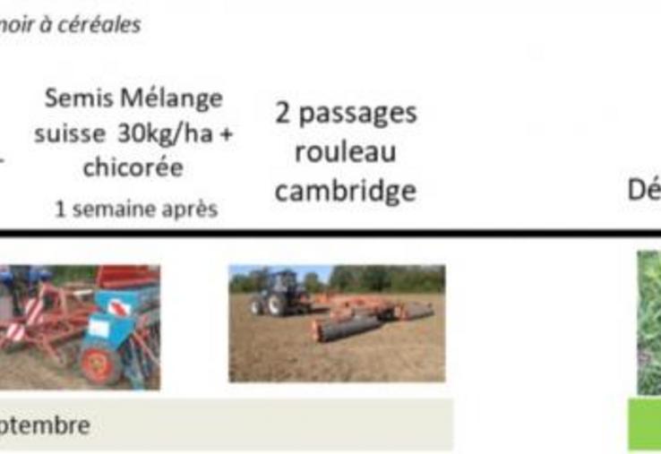 EXEMPLE DE MISE EN PLACE CHEZ ETIENNE LEGRAND, AGRICULTEUR AB DANS LA MANCHE.