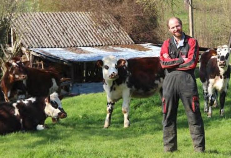 Côté vache avec arrêt de la traite pendant quelques semaines : « c'est plus facile pour se faire remplacer ».