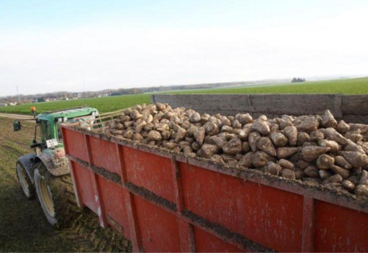 Qu’il s’agisse de grandes cultures, de la betterave ou des protéagineux, toutes les filières attendent des mesures
d’aide d’urgence du gouvernement.
