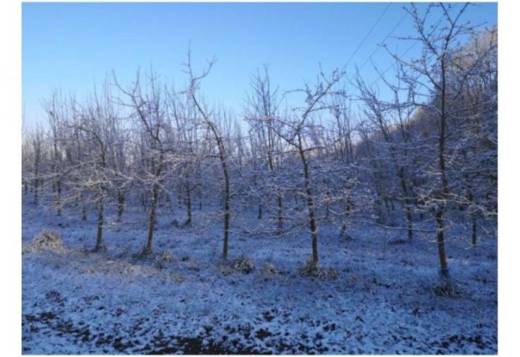 Le groupe de travail retient l'hypothèse d'une hausse rapide du taux de pénétration de l'assurance multirisque climat.