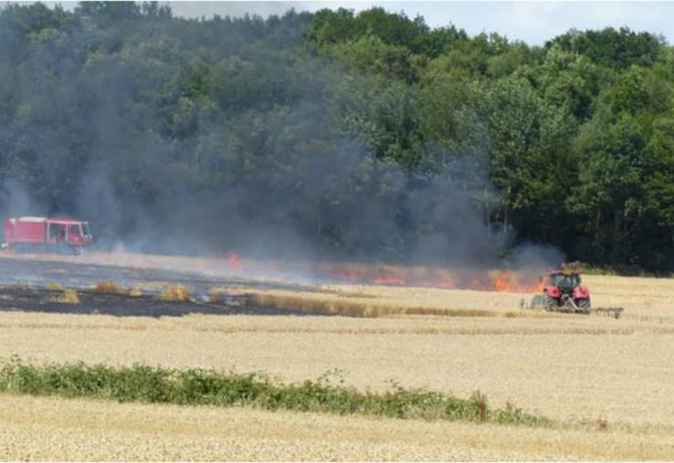 Il est conseillé d’éviter de moissonner aux heures les
plus chaudes, si les vents sont soutenus et d’entretenir quotidiennement les machines pour éviter les surchauffes.