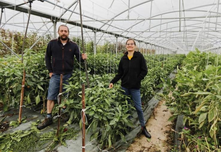 François et Angélique Mulet ont repris l'ancien site horticole Gaec Perrochon.
