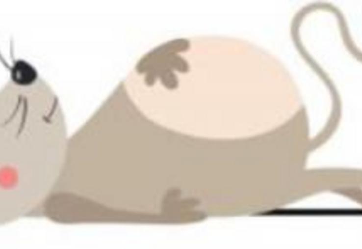 La montagne accouche bel et bien d’une souris