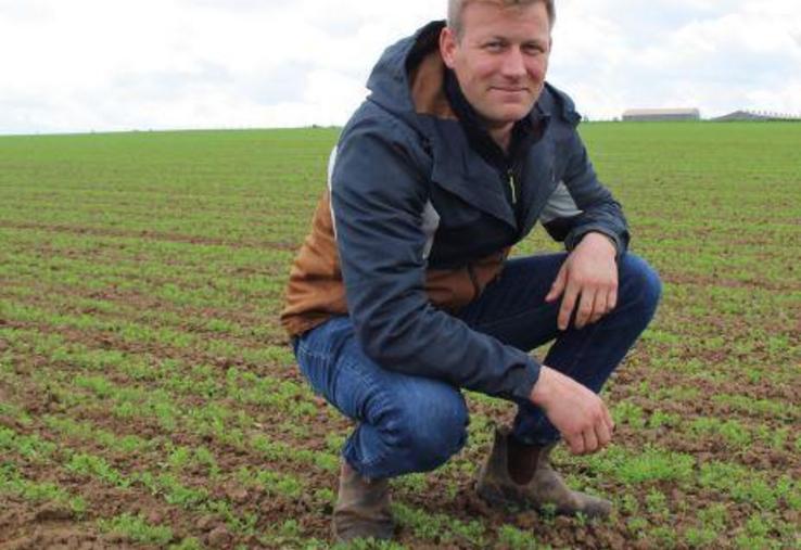 Marius Voeltzel est producteur de légumineuses de printemps dans
le Vexin depuis 2018. Il a créé sa marque Pousses de là, vendue à la
ferme et en magasins spécialisés en agriculture biologique. Semées
au printemps, les lentilles de Marius Voeltzel se récoltent en juillet et
le quinoa et les pois chiche quelques semaines après.