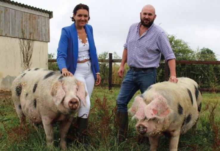 Sana et Ludovic Lemancel élèvent des cochons de Bayeux, à Pont-Hébert, dans la Manche.