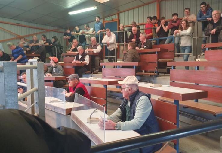 Pour Made in viande, la Sicamon recevra à Lieurey des élèves du lycée agricole de Tourville et d'Yvetot le mercredi 17 mai. La MFR de Blangy-le-Château a fait le déplacement le mercredi 3 mai.