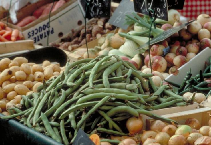 Plus de 50 % des fruits et légumes que nous consommons
proviennent d’importation européenne et hors européenne.