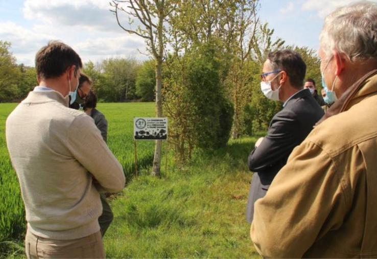 Depuis 2017, la FDC 27 est agréée BCAE7. Elle encadre toutes les demandes de déplacement de haie formulées par les agriculteurs et évite la suppression de plusieurs km par an. Au cahier des charges de toute nouvelle replantation aidée : essences (6 au minimum) indigènes uniquement, paillage naturel, mise à disposition de protections à prix coûtant.