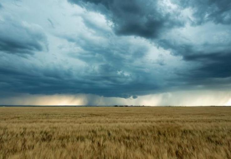 La loi du 2 mars 2022 instaure une couverture universelle contre les risques climatiques accessible à tous les agriculteurs.