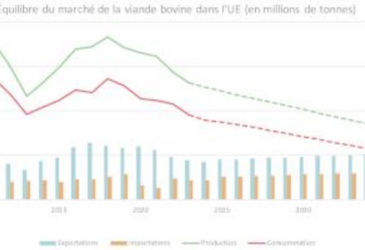 La consommation et la production de viande bovine devraient diminuer de 0,6 million de tonnes équivalant carcasse d'ici 2035 (-9,2 %)