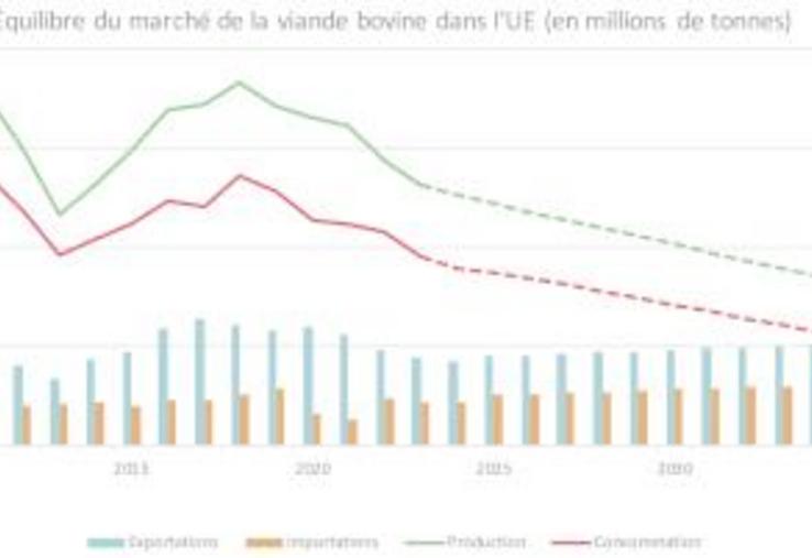 La consommation et la production de viande bovine devraient diminuer de 0,6 million de tonnes équivalant carcasse d'ici 2035 (-9,2 %)