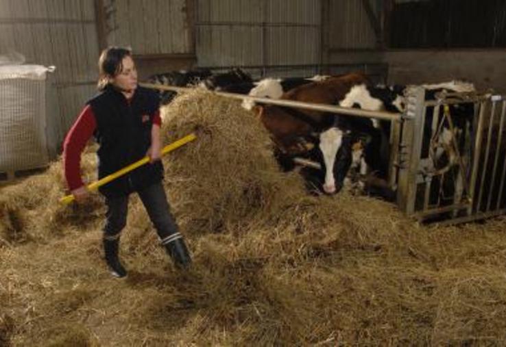 La part des femmes qui s’installent en agriculture ne cesse de progresser.