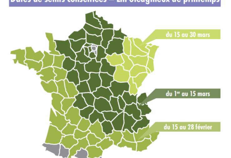 Dates de semis conseillées - Lin oléagineux de printemps.