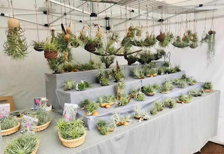 Le producteur de Tillandsias a remporté le prix du plus beau stand.