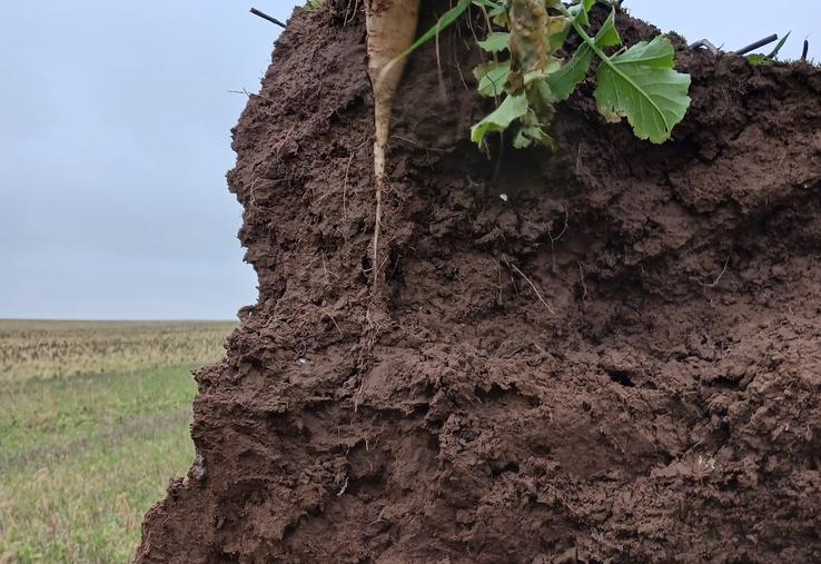 Restituer la matière organique, savoir diagnostiquer les problèmes et réparer dans de bonnes conditions seront les principaux messages de l'atelier consacré à la matière organique des sols