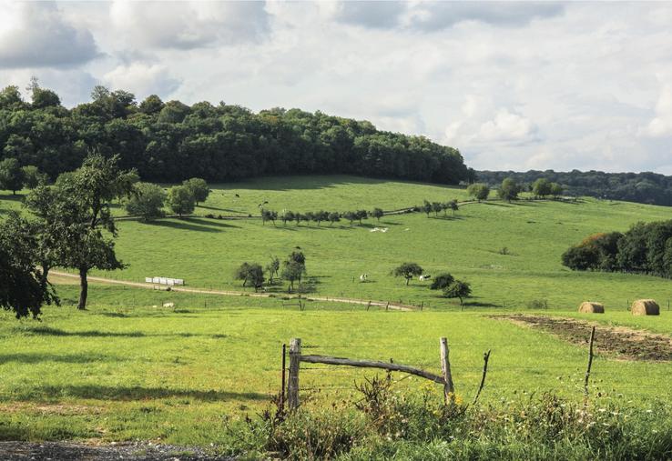 D'une manière globale, les surfaces agricoles reculent en France.