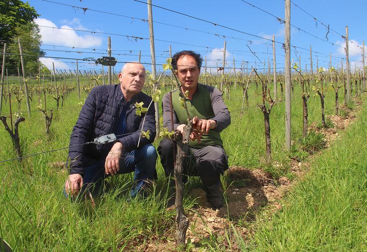 Christophe Rechaux (conseiller foncier Safer) et Étienne Fournet. La Safer a joué un rôle de facilitateur dans cette installation-transmission. Elle reste en veille sur l'identification de parcelles qui seraient adaptées à la viticulture dans un contexte de réchauffement climatique.