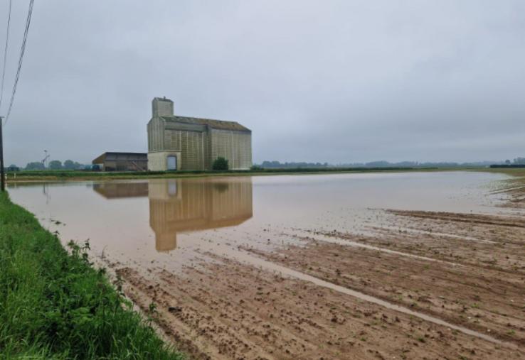 Les excès d'eau peuvent causer des dommages à certaines cultures, comme la formation de trous d'eau dans les parcelles.