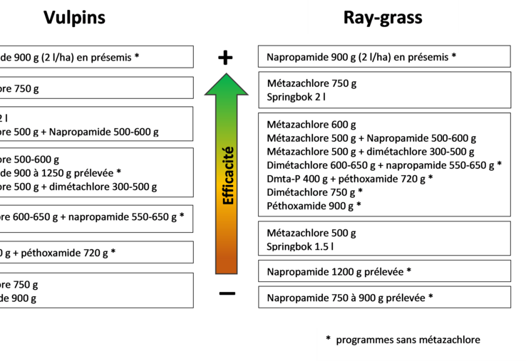 Synthèse des efficacités sur vulpins et ray-grass des applications au semis (essais de Terres Inovia).