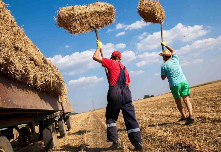 La pratique du sport dans le milieu agricole permet de prévenir les différents risques liés à la profession, qu'ils soient physiques, psychologiques ou sociaux.