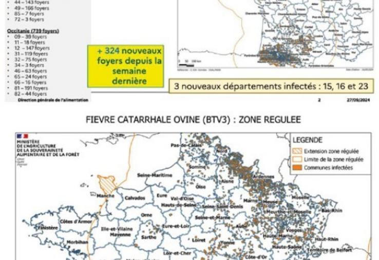 Foyers de MHE par département au 26/09/2024