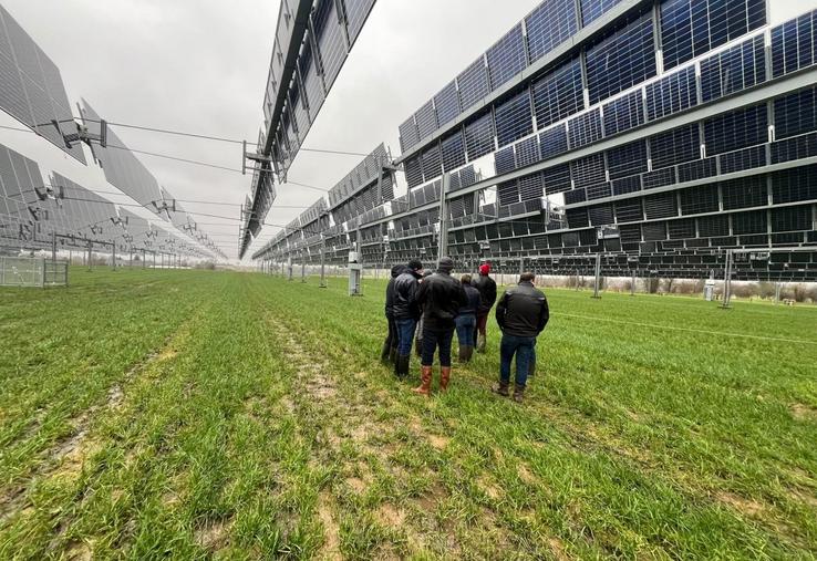 La canopée agrivoltaïque, projet pilote unique en Normandie, permettra de comparer le comportement du troupeau avec une parcelle témoin sans panneau. 