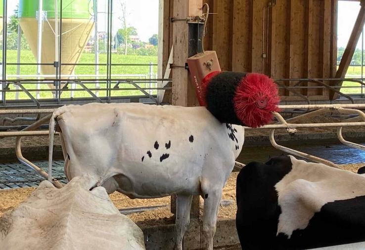98 % des troupeaux présentent un bon état corporel, témoignant d'une alimentation maîtrisée.