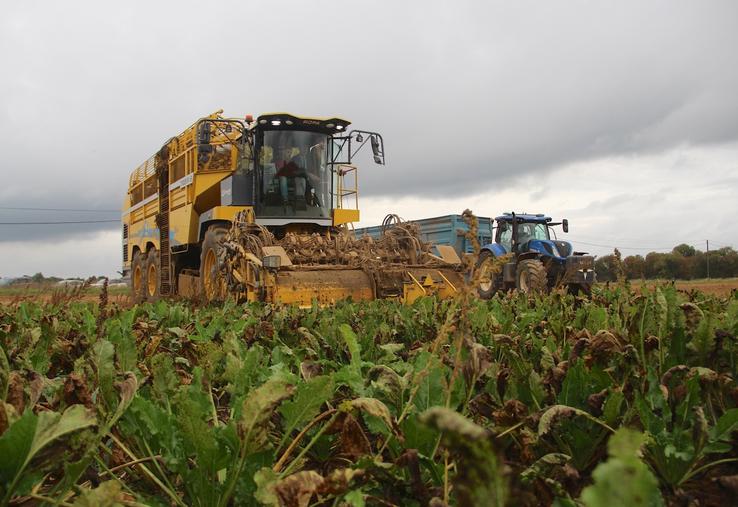 "Attention, si la betterave sucrière ne rémunère pas assez face à l'envolée des coûts de production, les surfaces risquent de baisser significativement", prévient la CGB 27.