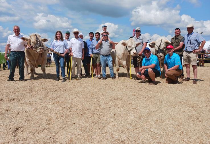 Le concours des races allaitantes s'est déroulé lors de "Champs en fête" les 14 et 15 juin dernier à Gisors.