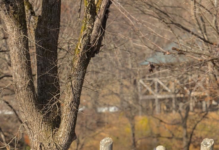 Un jugement du tribunal administratif d'Orléans clarifie les règles pour l'installation de clôtures, alliant protection de la propriété et préservation de l'environnement.