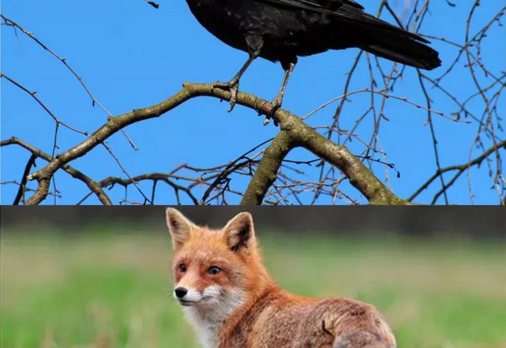 La révision du classement des ESOD - groupe 2 commence dès l'automne 2025